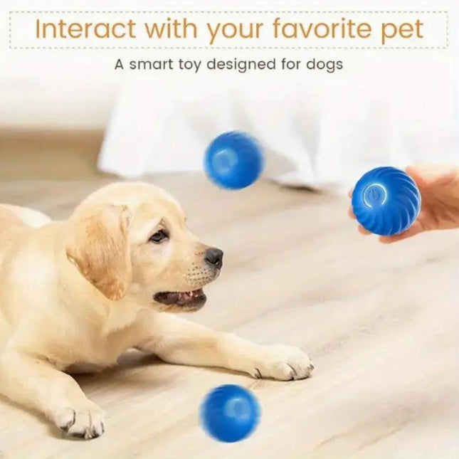 High-Bounce Interactive Pet Ball – Durable Rubber Play Toy for Dogs & Cats – Vibrant Blue & Orange Training Ball