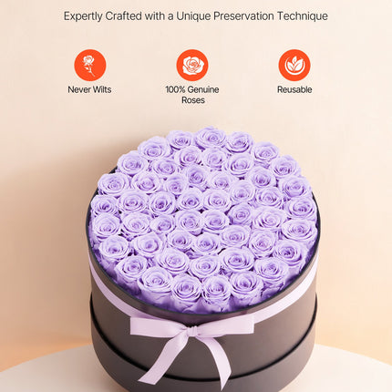 50 Pcs Luxury Preserved Roses in Box – Eternal Lavender Purple Flowers – Long-Lasting Immortal Bouquet – Premium Anniversary & Wedding Gift for Wife