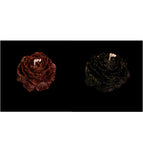 Set3 / 1PC