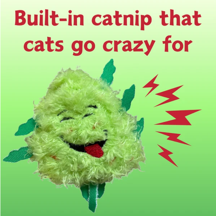 "My Name is Bud Jr." Funny Catnip Toy – 420 Parody Weed Nug Plush – Cute Stuffed Cat Toy with Premium Catnip for Kittens & Cats