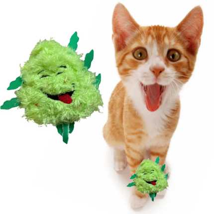 "My Name is Bud Jr." Funny Catnip Toy – 420 Parody Weed Nug Plush – Cute Stuffed Cat Toy with Premium Catnip for Kittens & Cats