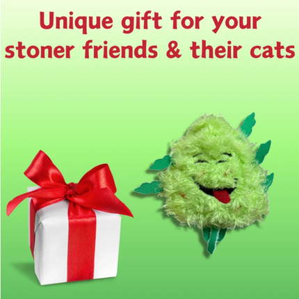 "My Name is Bud Jr." Funny Catnip Toy – 420 Parody Weed Nug Plush – Cute Stuffed Cat Toy with Premium Catnip for Kittens & Cats