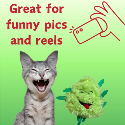 "My Name is Bud Jr." Funny Catnip Toy – 420 Parody Weed Nug Plush – Cute Stuffed Cat Toy with Premium Catnip for Kittens & Cats