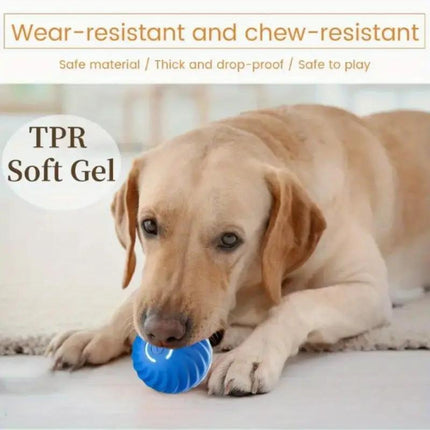 High-Bounce Interactive Pet Ball – Durable Rubber Play Toy for Dogs & Cats – Vibrant Blue & Orange Training Ball