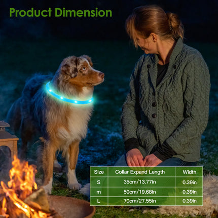 USB Rechargeable LED Dog Safety Collar – High-Visibility Glowing Collar for Night Walking – Cuttable Length for All Sizes