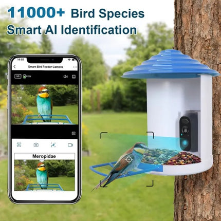 Smart Bird Feeder with Solar Powered Camera – 1080P HD Video & AI Bird Species Recognition – PIR Motion Detection & WiFi App Control