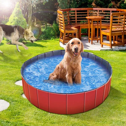 Foldable Pet & Kid Swimming Pool – Portable PVC Bathtub & Kiddie Pool – Non-Slip Collapsible Outdoor Play Center