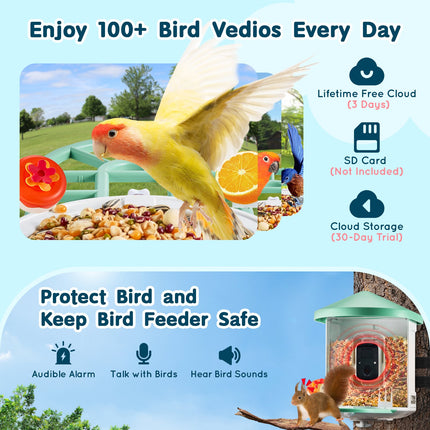 Smart Bird Feeder with 1080P AI Camera – Automatic Bird Species Identification – Solar Powered Wireless Outdoor Feeding Station