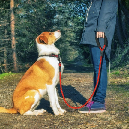 Reflective Dog Leash – Heavy Duty Nylon Pet Dog Lead Rope for Small, Medium & Large Dogs – Padded Handle for Walking & Training