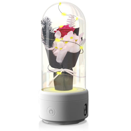 2-in-1 Rose Bouquet LED Light & Bluetooth Speaker – Enchanted Rose Night Light in Glass Dome – Unique Mother’s Day, Valentine’s Day & Anniversary Gift