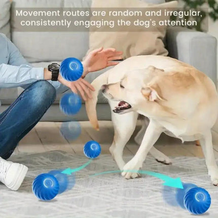 High-Bounce Interactive Pet Ball – Durable Rubber Play Toy for Dogs & Cats – Vibrant Blue & Orange Training Ball