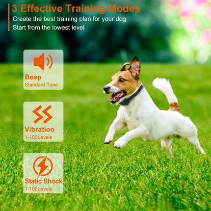 3280ft Professional Dog Training Collar – 1000m Ultra-Long Range Remote – IP67 Waterproof & Rechargeable with Beep, Vibration, and Safe Shock