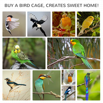 60-Inch Vertical Bird Flight Cage with Rolling Stand – Spacious Metal Bird House for Finches, Canaries, and Parakeets – Includes Storage Shelf