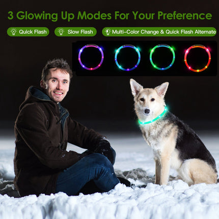 USB Rechargeable LED Dog Safety Collar – High-Visibility Glowing Collar for Night Walking – Cuttable Length for All Sizes
