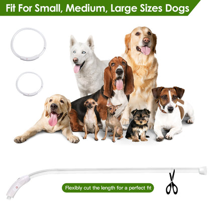 USB Rechargeable LED Dog Safety Collar – High-Visibility Glowing Collar for Night Walking – Cuttable Length for All Sizes