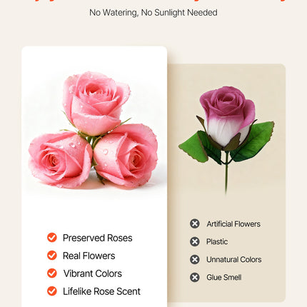 Forever Flowers Heart Box – 27 Real Preserved Pink Roses – Eternal Immortal Bouquet – Romantic Anniversary & Valentine’s Day Gift for Girlfriend or Wife