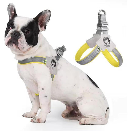 Luxury Suede Pet Harness and Leather Leash Set – Reflective Soft Puppy Harness – No-Pull & No-Choke Comfort Vest for Small Dogs and Cats