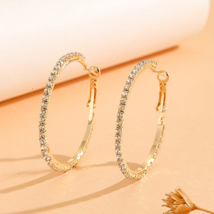 Elegant Princess-Style Zircon Inlaid Earrings – Luxury Large Drop Earrings for Women – Wedding, Party & Special Occasion Jewelry