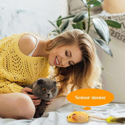 Interactive Robotic Mouse Cat Toy – Automatic Moving Mouse with LED Lights & Chirping Sounds – USB Rechargeable Toy with Feather Tail for All Breeds