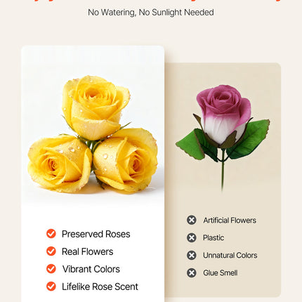 Forever Flowers – 27 Real Preserved Yellow Roses in Heart-Shaped Box – Eternal Roses for Anniversary, Valentine’s Day & Mother’s Day – Long-Lasting Luxury Gift