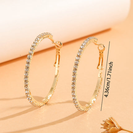 Elegant Princess-Style Zircon Inlaid Earrings – Luxury Large Drop Earrings for Women – Wedding, Party & Special Occasion Jewelry
