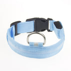 Blue Light / L
