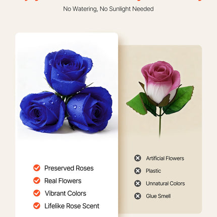 Forever Flowers Heart Box – 27 Real Preserved Royal Blue Roses – Eternal Immortal Bouquet – Luxury Anniversary & Valentine’s Day Gift for Wife