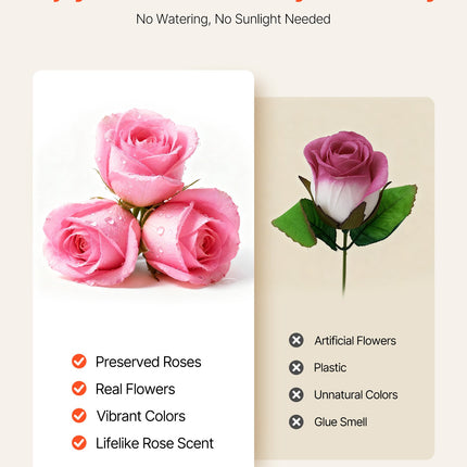 50 Pcs Luxury Preserved Roses in Box – Eternal Sweet Pink Flowers – Long-Lasting Immortal Bouquet – Premium Anniversary & Wedding Gift for Wife