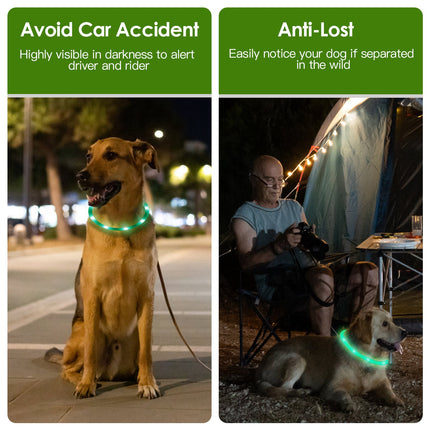 USB Rechargeable LED Dog Safety Collar – High-Visibility Glowing Collar for Night Walking – Cuttable Length for All Sizes