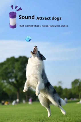 Interactive Sounding Pet Ball – The Mellow Squeaky Toy for Dogs & Cats – Motion-Activated Voice Ball for Exercise & Mental Stimulation