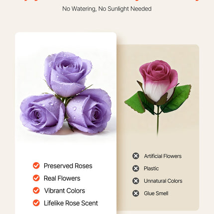 50 Pcs Luxury Preserved Roses in Box – Eternal Lavender Purple Flowers – Long-Lasting Immortal Bouquet – Premium Anniversary & Wedding Gift for Wife