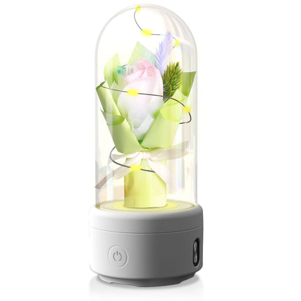 2-in-1 Rose Bouquet LED Light & Bluetooth Speaker – Enchanted Rose Night Light in Glass Dome – Unique Mother’s Day, Valentine’s Day & Anniversary Gift