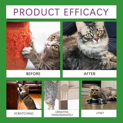 Yegabang Cat Emotional Care Set – Natural Soothing Relief for Estrus, Anxiety & Stress – Calming Mood Support for Irritable Cats