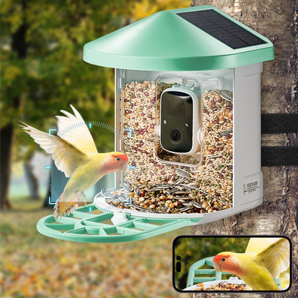 Smart Bird Feeder with 1080P AI Camera – Automatic Bird Species Identification – Solar Powered Wireless Outdoor Feeding Station