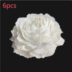 White / 6PCS