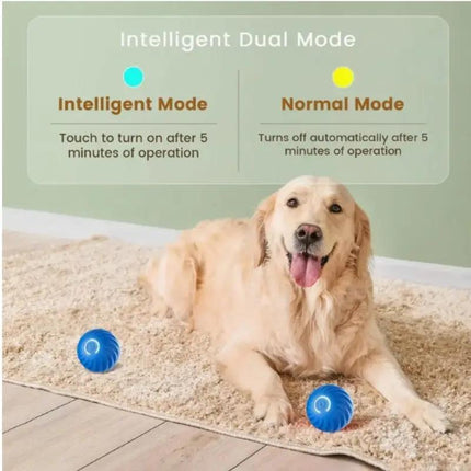 High-Bounce Interactive Pet Ball – Durable Rubber Play Toy for Dogs & Cats – Vibrant Blue & Orange Training Ball
