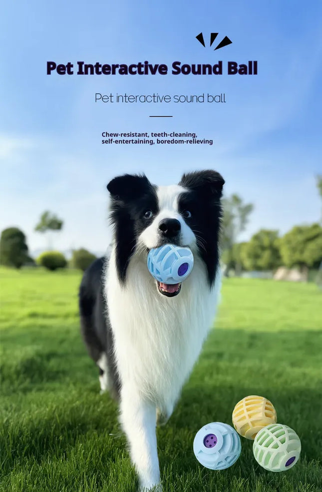 Interactive Sounding Pet Ball – The Mellow Squeaky Toy for Dogs & Cats – Motion-Activated Voice Ball for Exercise & Mental Stimulation