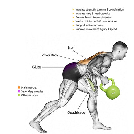 10lbs Vinyl Coated Kettlebell – Professional Strength Training Weight – Wide Comfort Grip for Swings, Toning & Home Gym