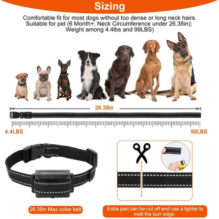 3280ft Professional Dog Training Collar – 1000m Ultra-Long Range Remote – IP67 Waterproof & Rechargeable with Beep, Vibration, and Safe Shock