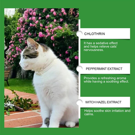 Yegabang Cat Emotional Care Set – Natural Soothing Relief for Estrus, Anxiety & Stress – Calming Mood Support for Irritable Cats