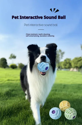 Interactive Sounding Pet Ball – The Mellow Squeaky Toy for Dogs & Cats – Motion-Activated Voice Ball for Exercise & Mental Stimulation