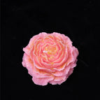 Pink / 1PC