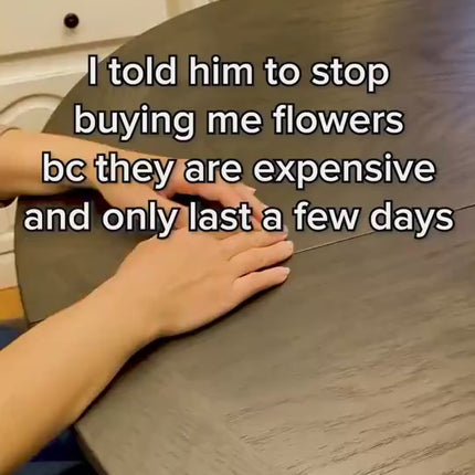 1.mp4