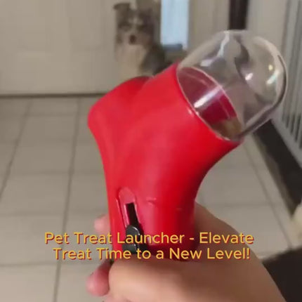 1.mp4